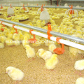 Hot Sale Automatic Poultry Farm Equipment for Broiler Chicken Farm